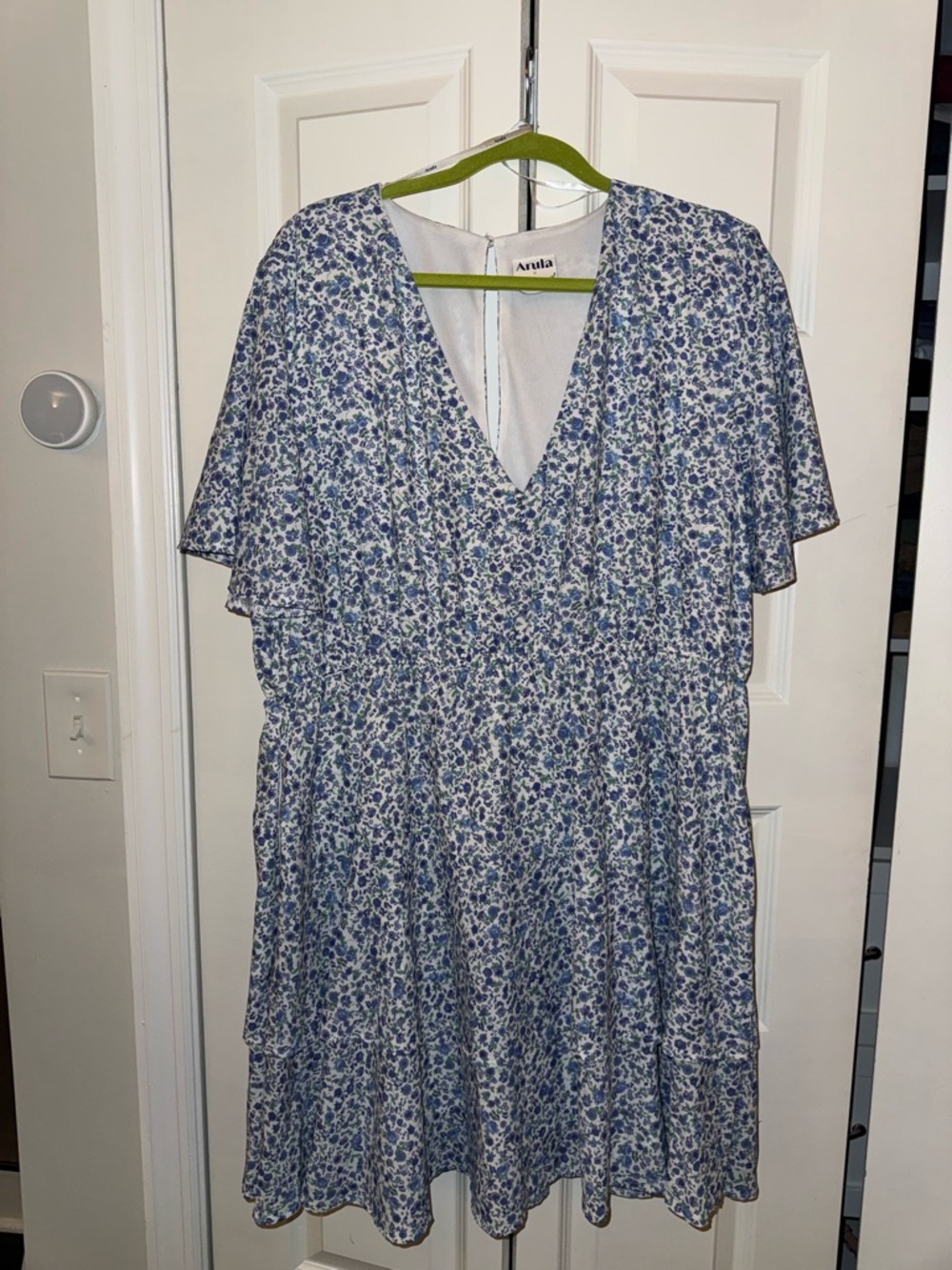 ARULA Blue Floral V-Neck Flutter Sleeve Mini Dress